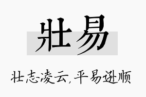 壮易名字的寓意及含义