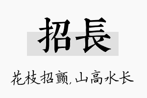 招长名字的寓意及含义