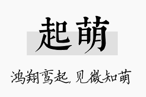 起萌名字的寓意及含义