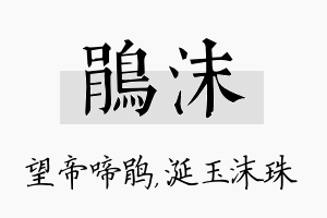 鹃沫名字的寓意及含义