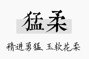 猛柔名字的寓意及含义