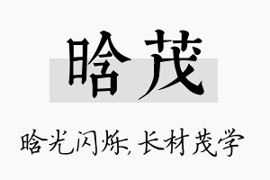 晗茂名字的寓意及含义