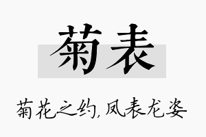 菊表名字的寓意及含义