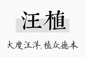 汪植名字的寓意及含义