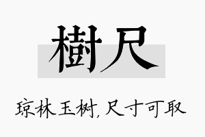 树尺名字的寓意及含义