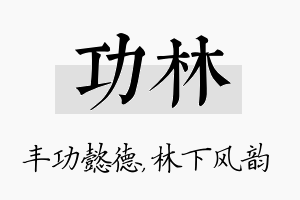 功林名字的寓意及含义