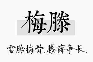 梅滕名字的寓意及含义