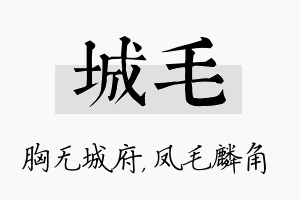 城毛名字的寓意及含义