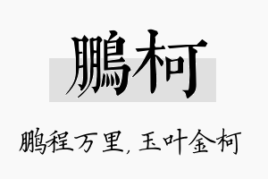 鹏柯名字的寓意及含义