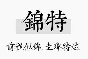 锦特名字的寓意及含义