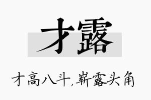 才露名字的寓意及含义