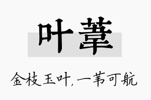 叶苇名字的寓意及含义