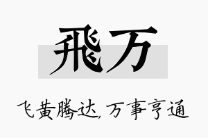 飞万名字的寓意及含义