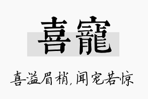 喜宠名字的寓意及含义