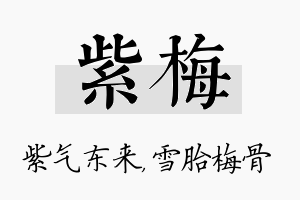 紫梅名字的寓意及含义