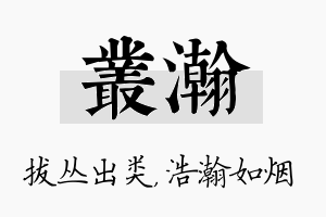 丛瀚名字的寓意及含义