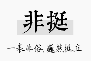 非挺名字的寓意及含义