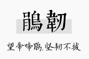 鹃韧名字的寓意及含义