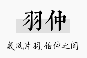 羽仲名字的寓意及含义