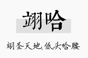 翊哈名字的寓意及含义