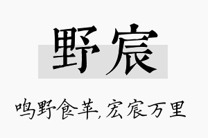 野宸名字的寓意及含义