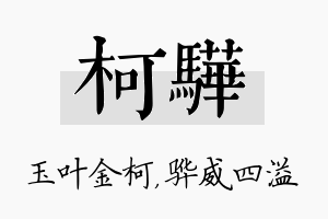 柯骅名字的寓意及含义