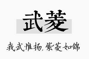 武菱名字的寓意及含义