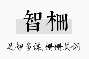 智栅名字的寓意及含义