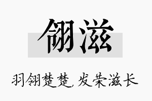 翎滋名字的寓意及含义