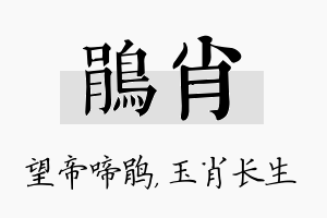 鹃肖名字的寓意及含义