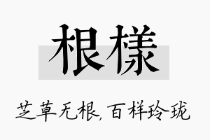 根样名字的寓意及含义