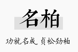 名柏名字的寓意及含义