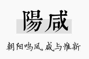 阳咸名字的寓意及含义