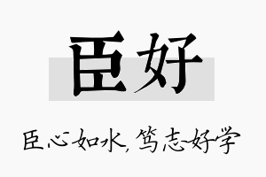 臣好名字的寓意及含义