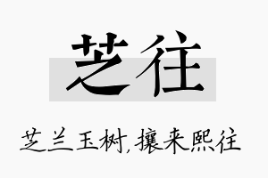 芝往名字的寓意及含义