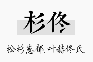 杉佟名字的寓意及含义