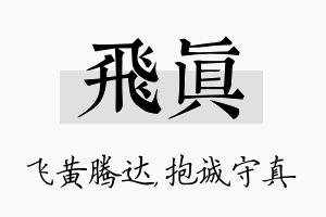 飞真名字的寓意及含义