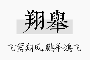 翔举名字的寓意及含义