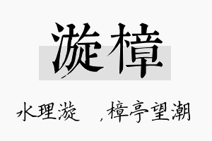 漩樟名字的寓意及含义