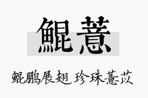 鲲薏名字的寓意及含义