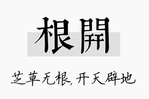 根开名字的寓意及含义