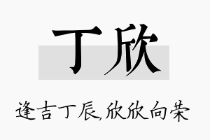 丁欣名字的寓意及含义