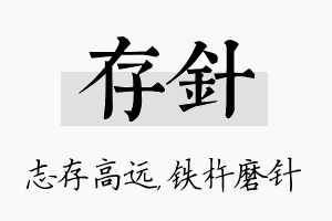 存针名字的寓意及含义