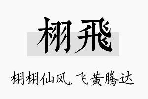 栩飞名字的寓意及含义