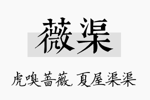 薇渠名字的寓意及含义