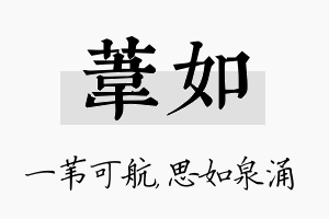 苇如名字的寓意及含义