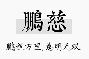 鹏慈名字的寓意及含义