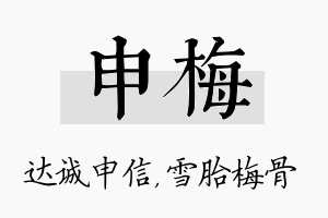 申梅名字的寓意及含义