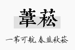 苇菘名字的寓意及含义