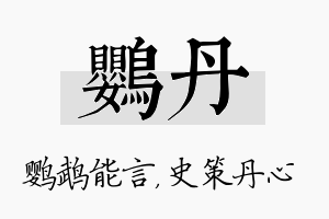 鹦丹名字的寓意及含义